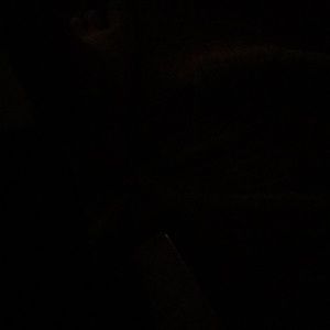 Meet your Posher, Steven